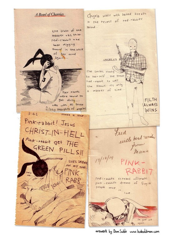 The Inner Workings Of My Red Rabbit by Dom Sable Page 2